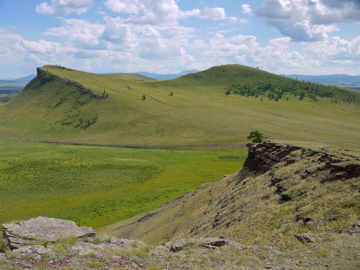 В гостях у Зелёного профессора